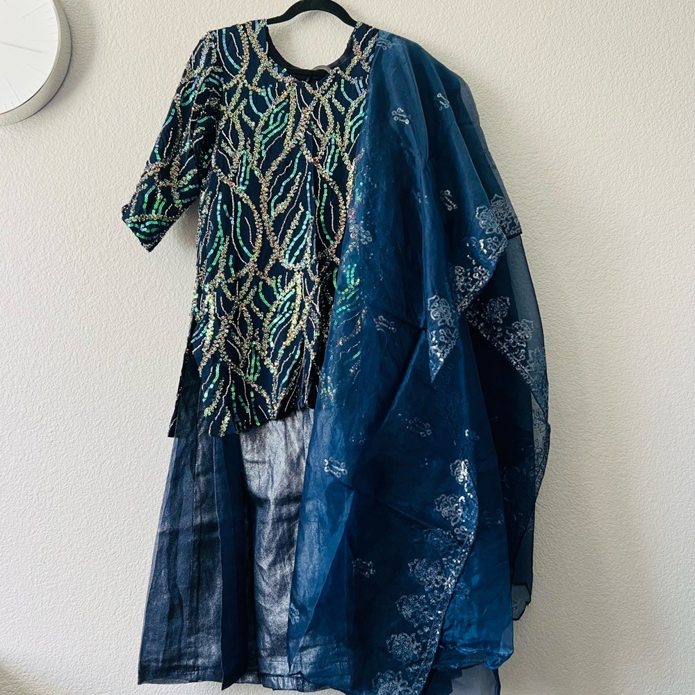 Elegant Blue Indian Pakistani dress
